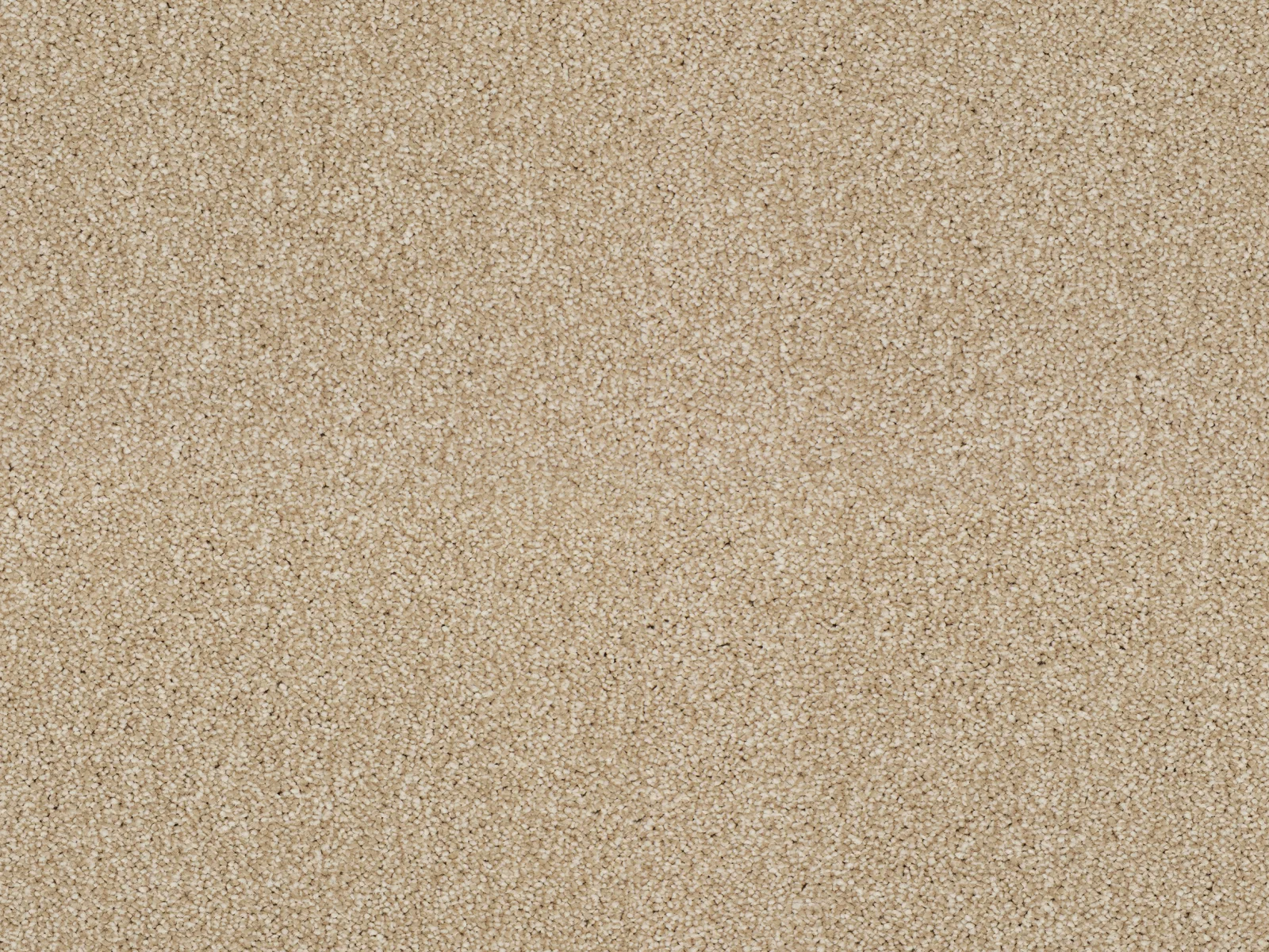 Heathertwist Elite Carpet by Lano | Quality Carpets in WV11