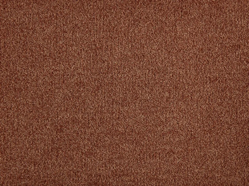 Rumba 332Apricot 2