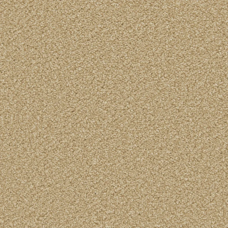 Apollo Plus Caramel