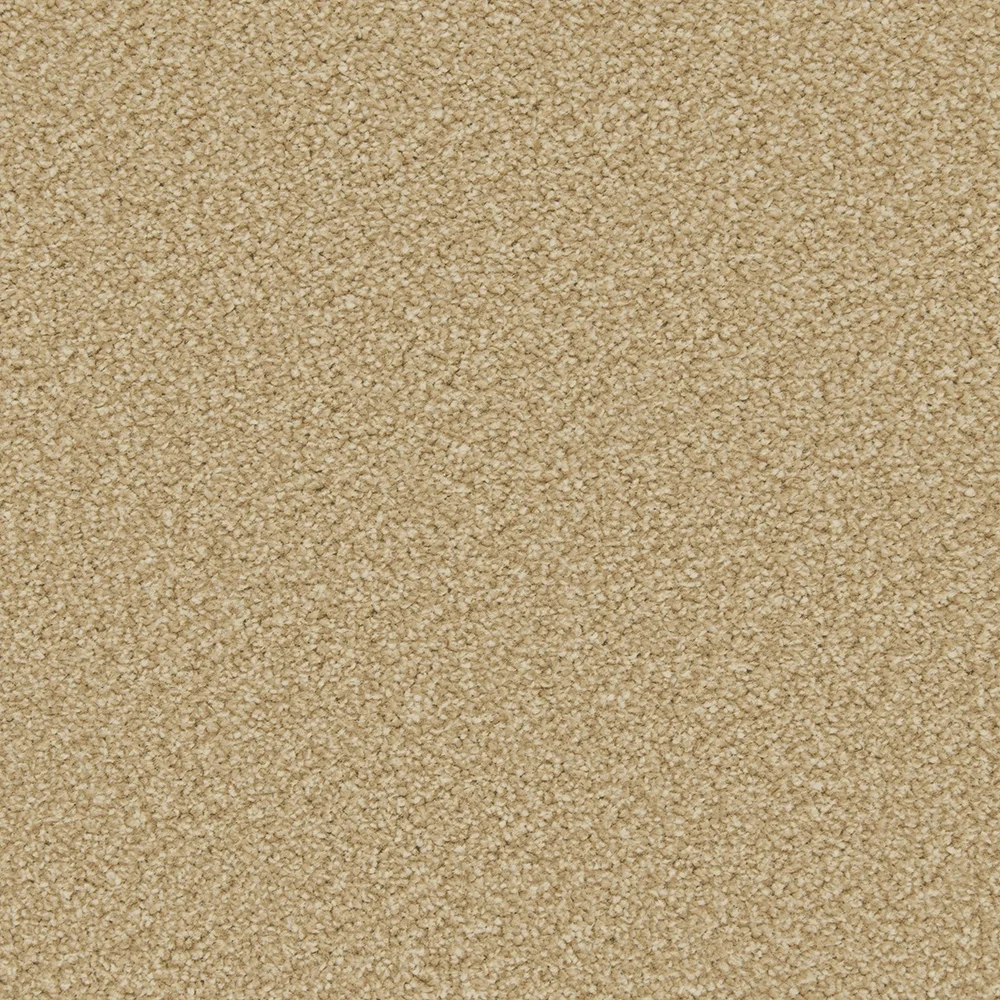 Apollo Plus Carpet by Cormar Carpets | Quality Flooring