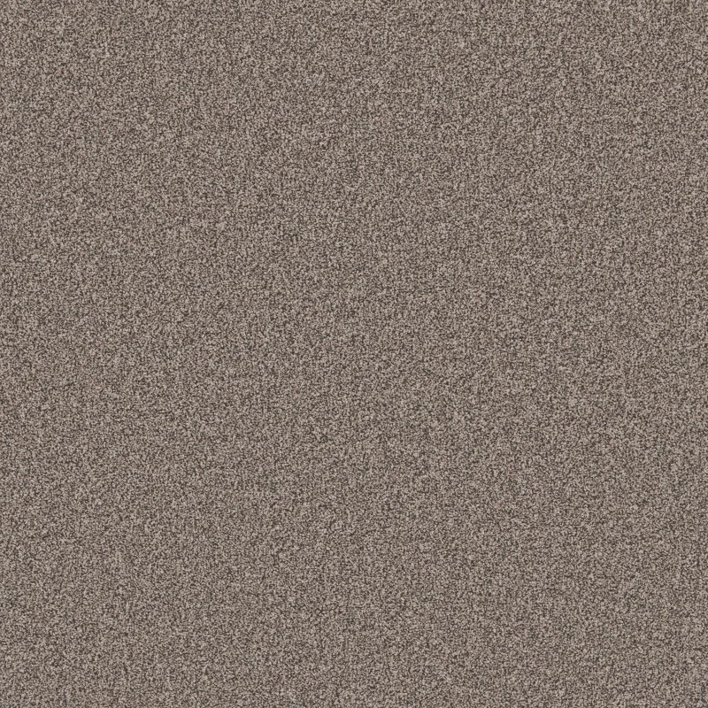 Primo Natural Carpet Range Basalt