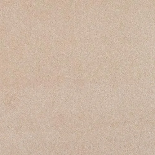 Freedom & Freedom Xtra Canvas