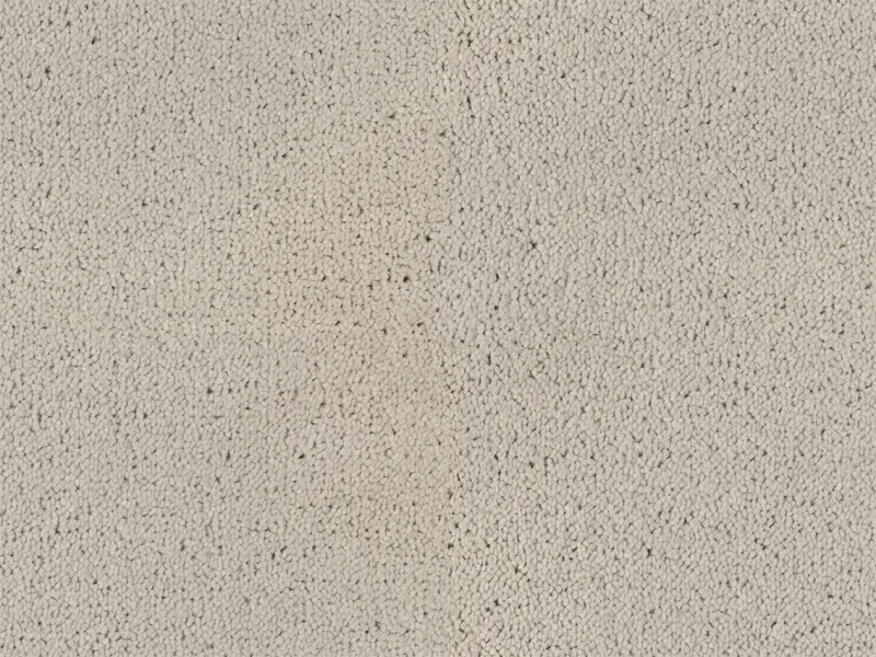 Bellelux 890Snow
