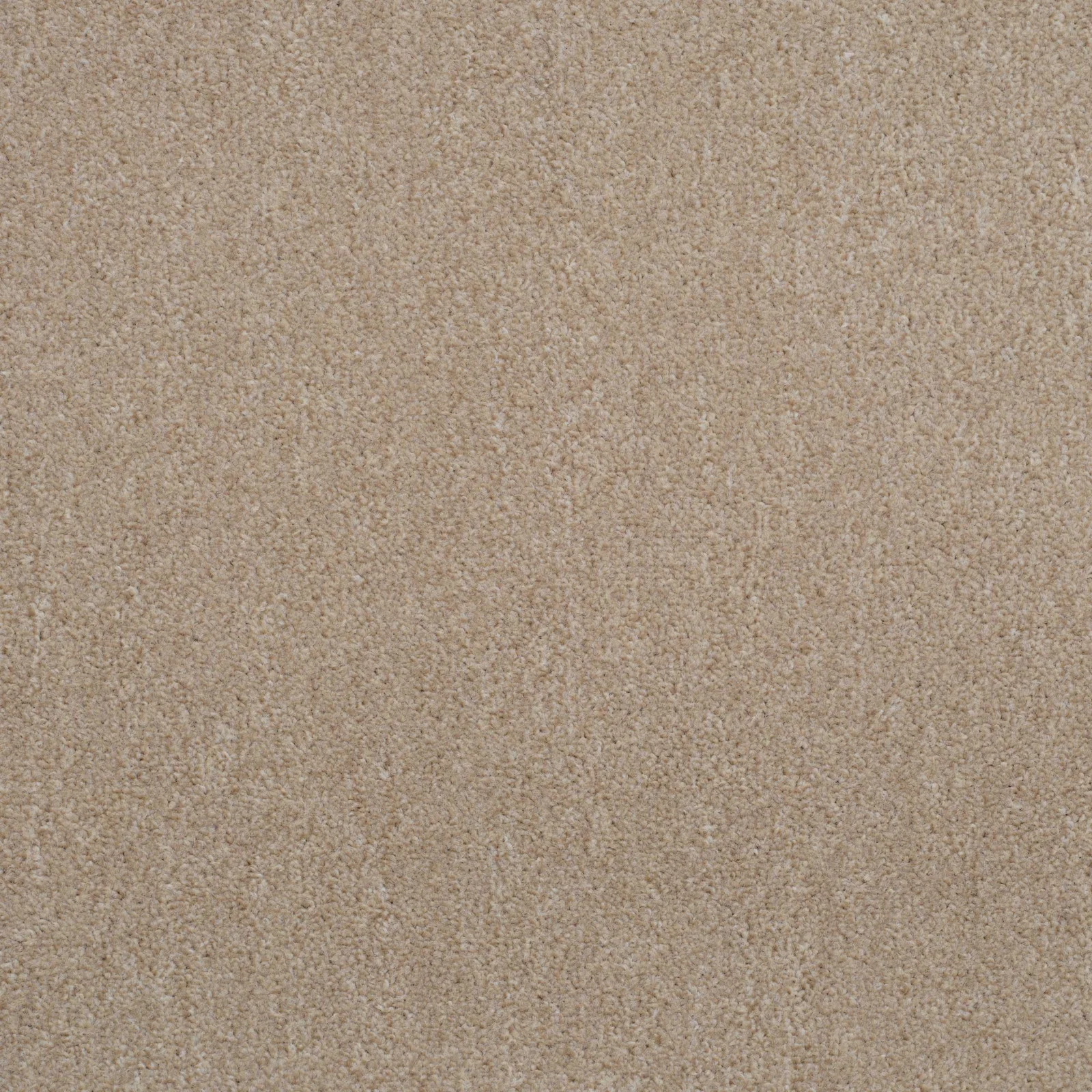 Super Twist Carpet by Balta - Quality Flooring in Wednesfield
