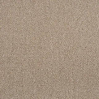 65
