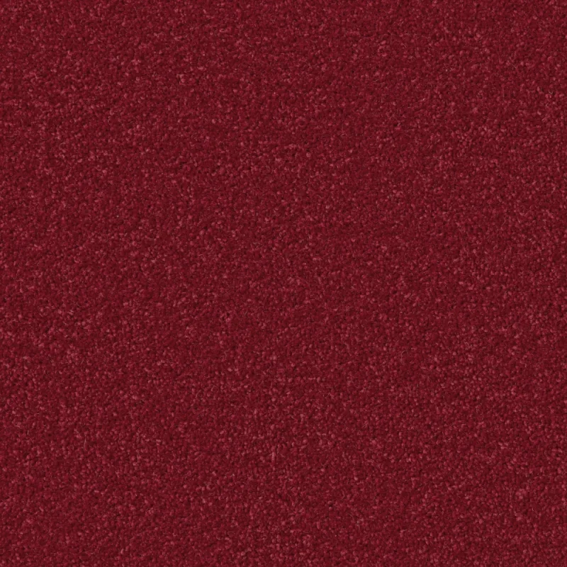 Hampstead Claret