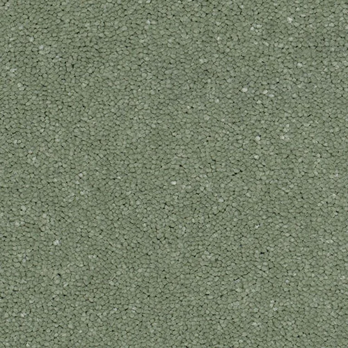 First Impressions 2026 Serene