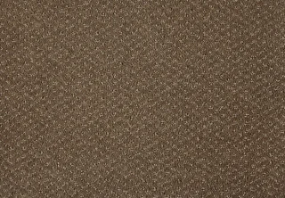 261CAMEL