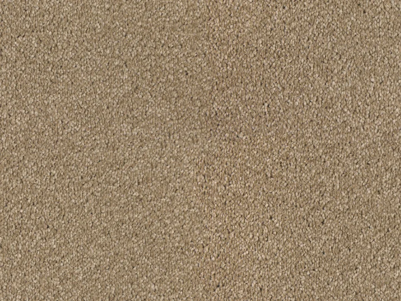 Bellelux 231Flax