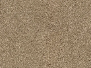 231Flax