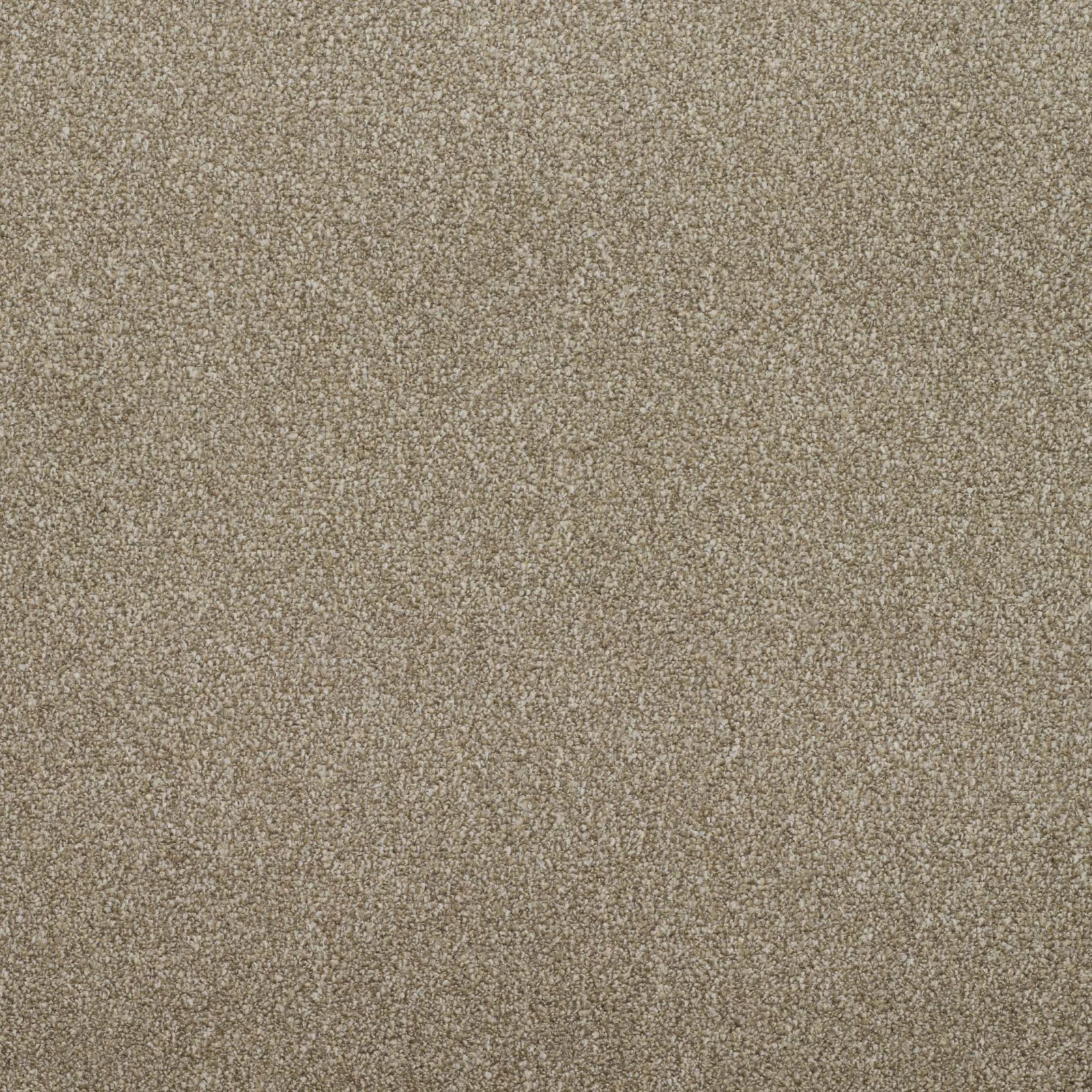 Addiction Carpet by Balta | Quality Carpets in Wednesfield