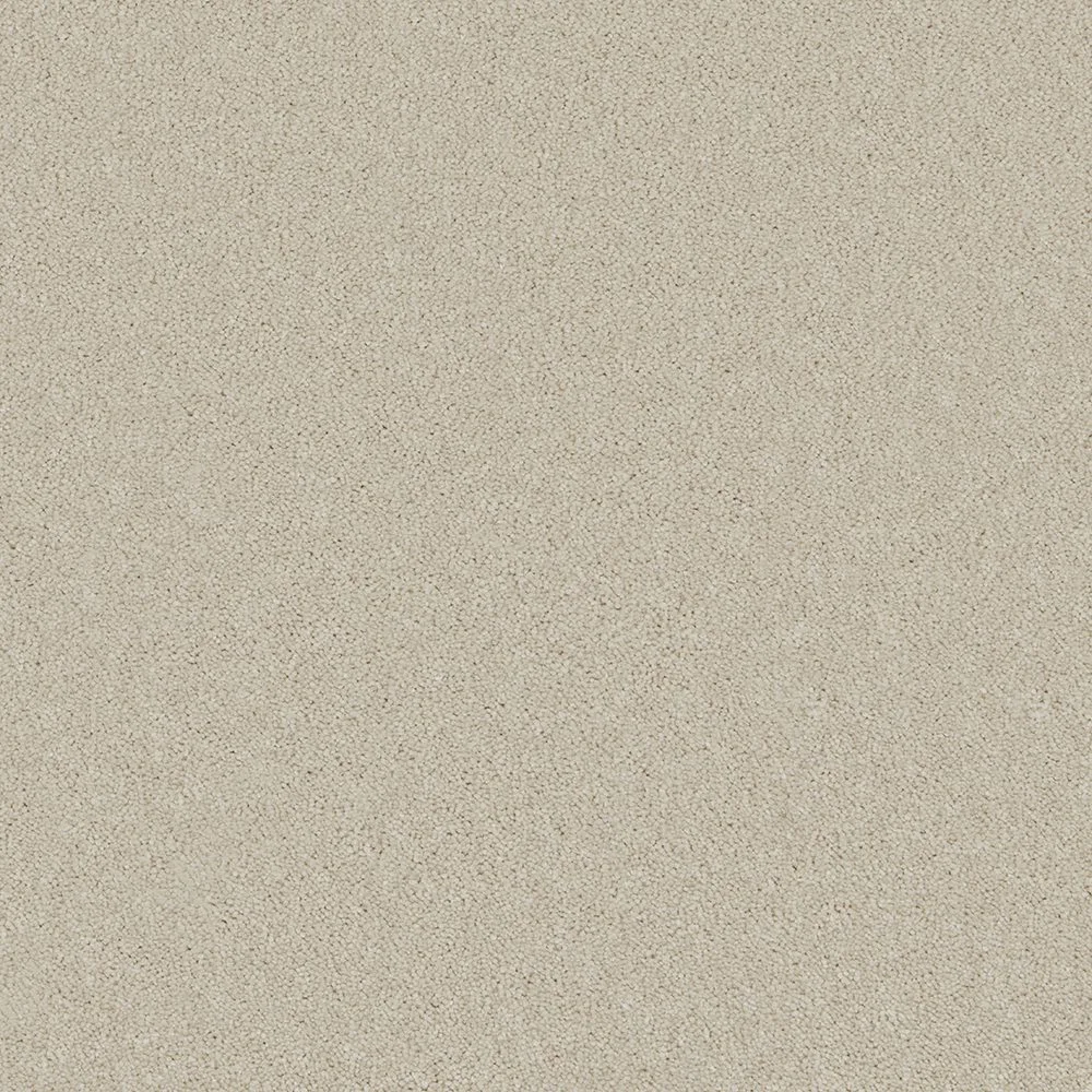 Bliss & Bliss Comfort Carpets by Furlong Flooring