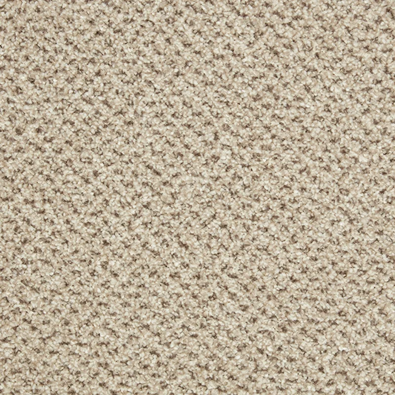 All Carpets Malibu
