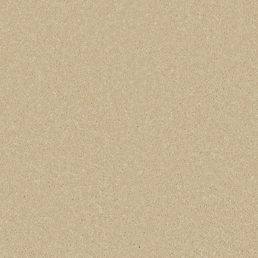 Zenith Carpet by Cormar Carpets - Quality Flooring
