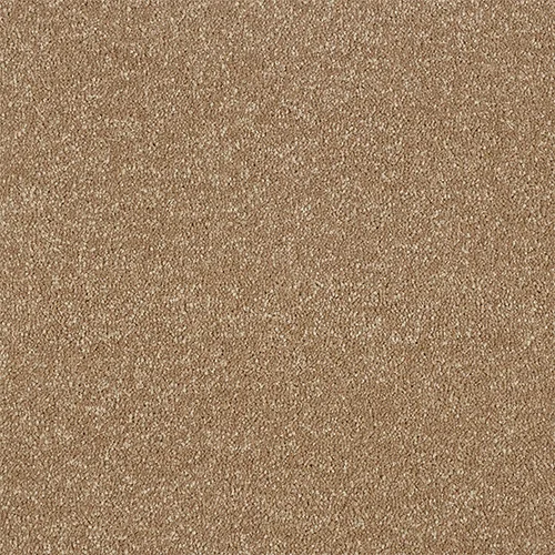 Maximus Carpet by Abingdon Flooring | Quality Carpets