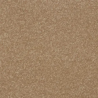 Mocha