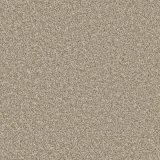 Apollo Plus Manhattan Taupe