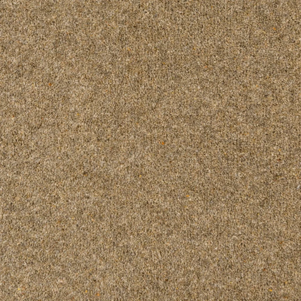 Seasons Carpet by Penthouse Carpets - Quality Flooring