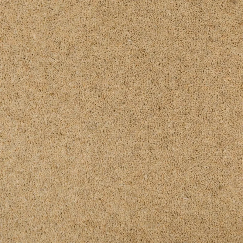 Seasons Carpets Seasons Summer 1