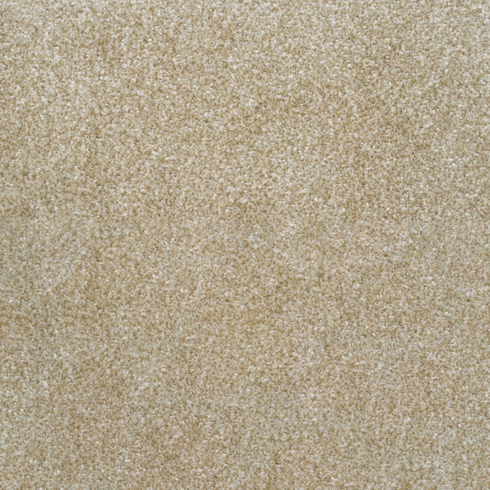Ultra Saxony Carpet by Balta - Quality Flooring in Wednesfield
