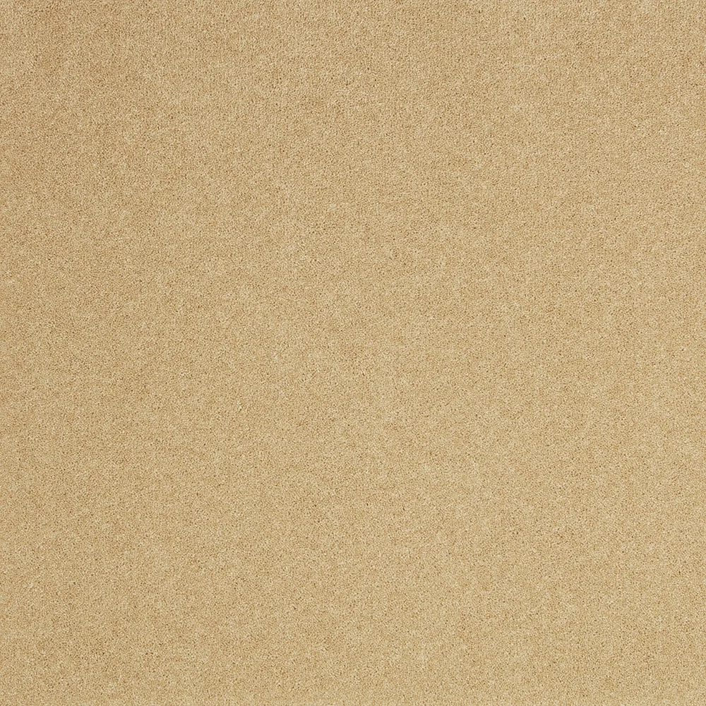 Pembroke Carpet by Cormar Carpets | Quality Flooring