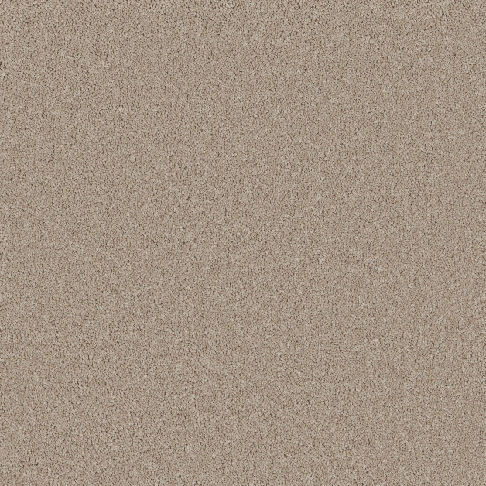 Bliss & Bliss Comfort Carpets by Furlong Flooring