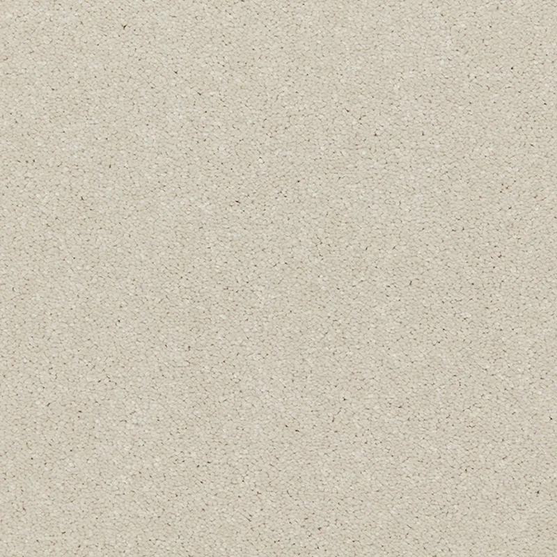 All Carpets Arcadia