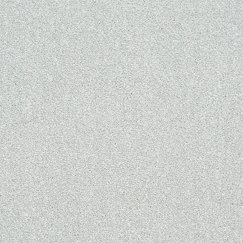 Twist Carpet by Abingdon Flooring - Quality Comfort