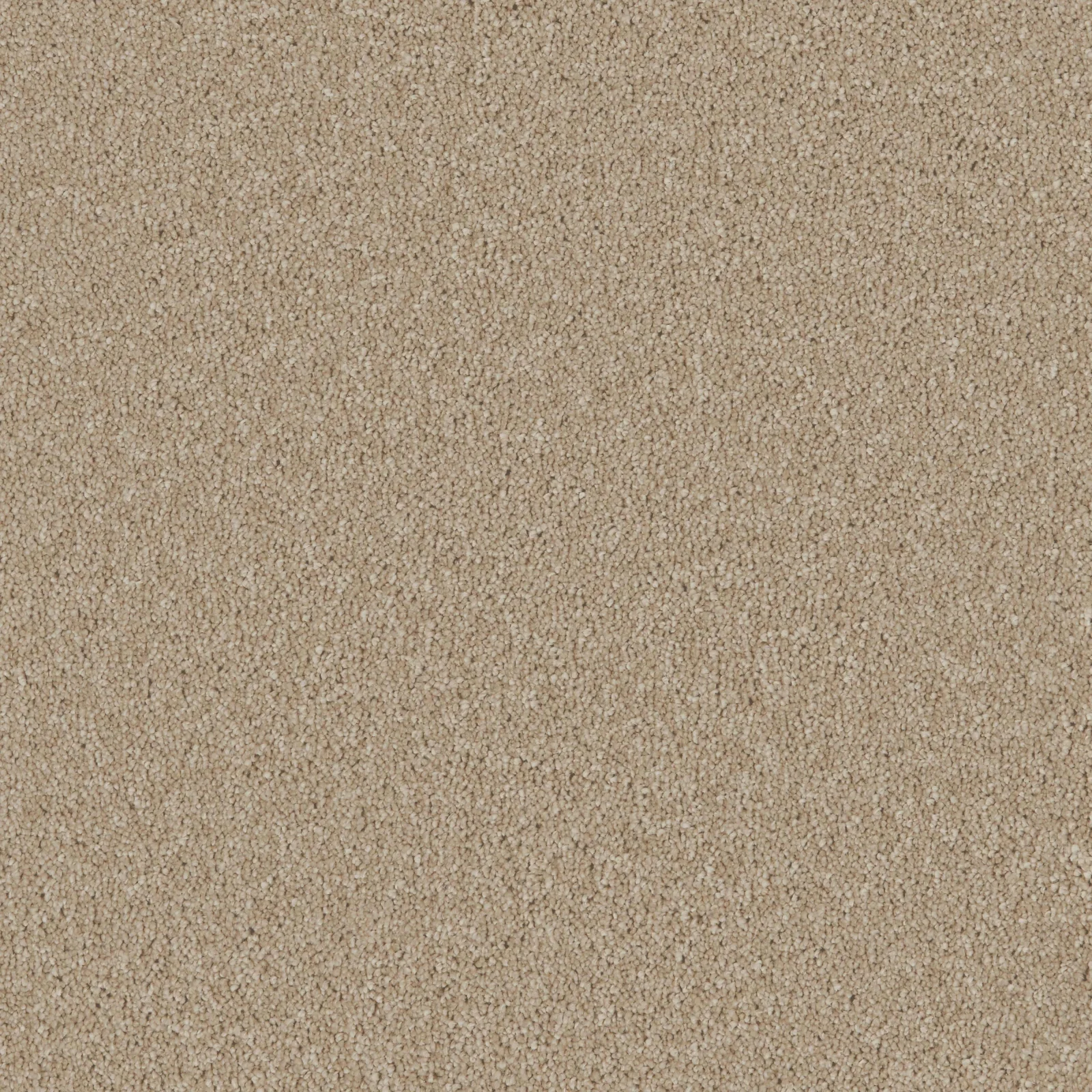 Bliss & Bliss Comfort Carpets by Furlong Flooring