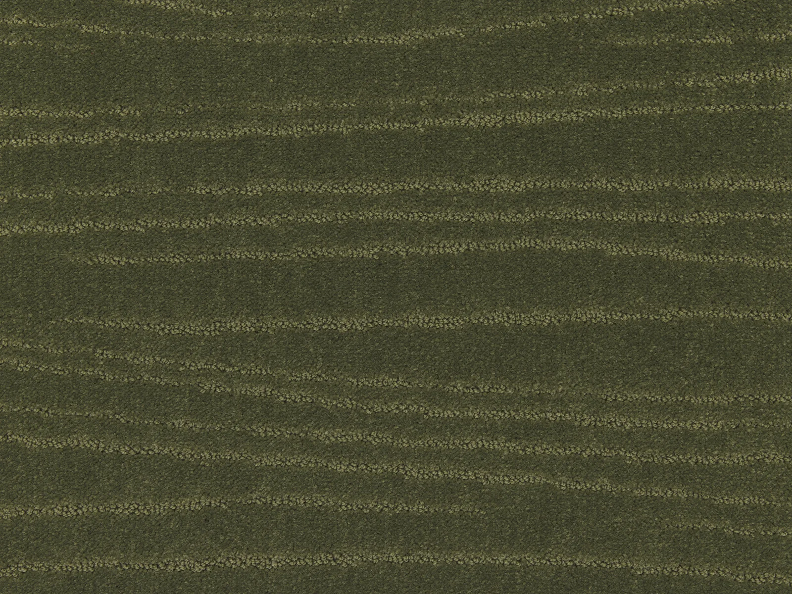 Lano Carve Linea Carpet | Durable and Stylish