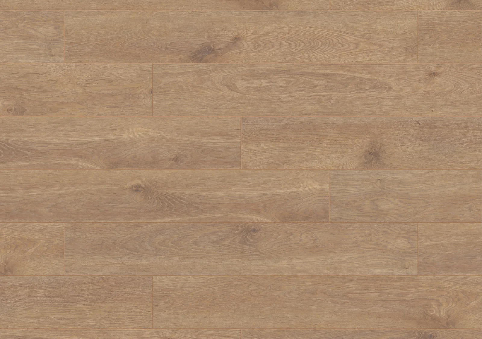 Organic Classic Solar Oak