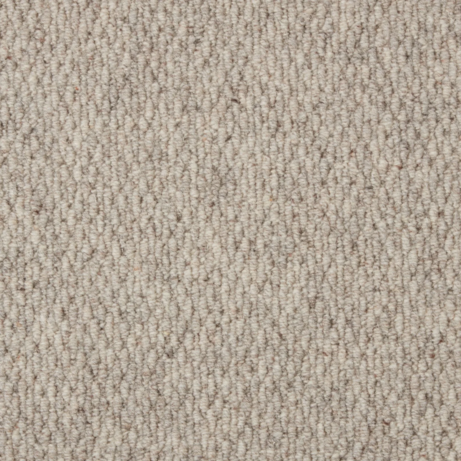 Malabar Two Fold
