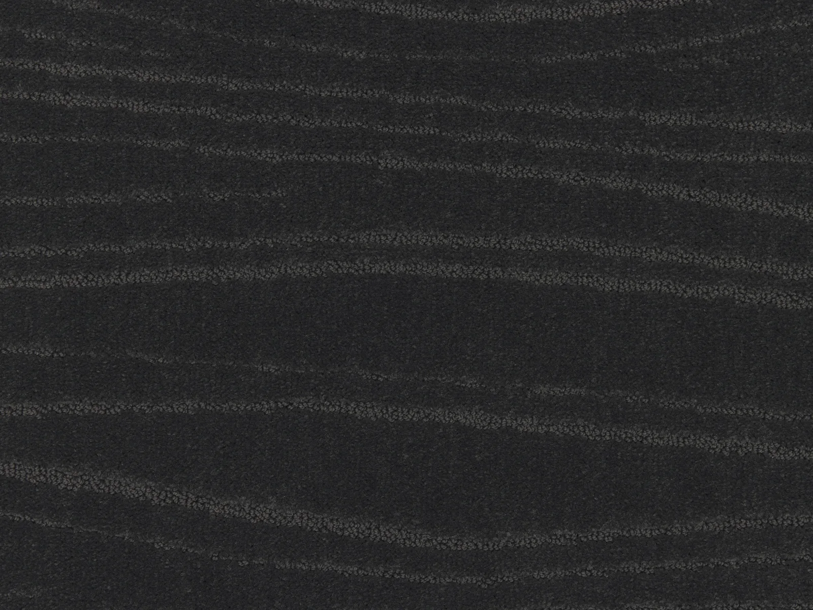 Lano Carve Linea Carpet | Durable and Stylish