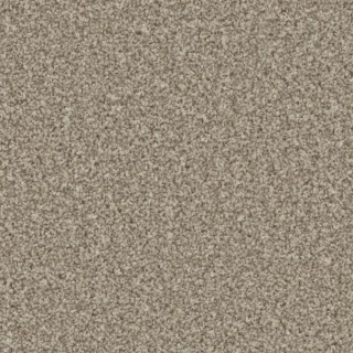 Pale Oak