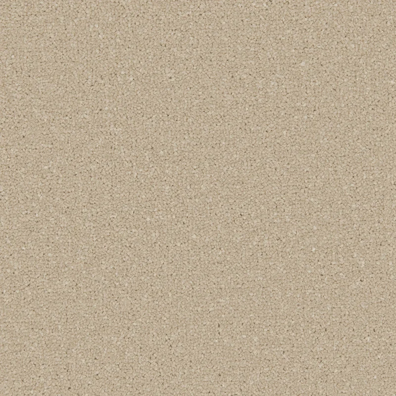 Apollo Plus Apollo Plus Sea Breeze