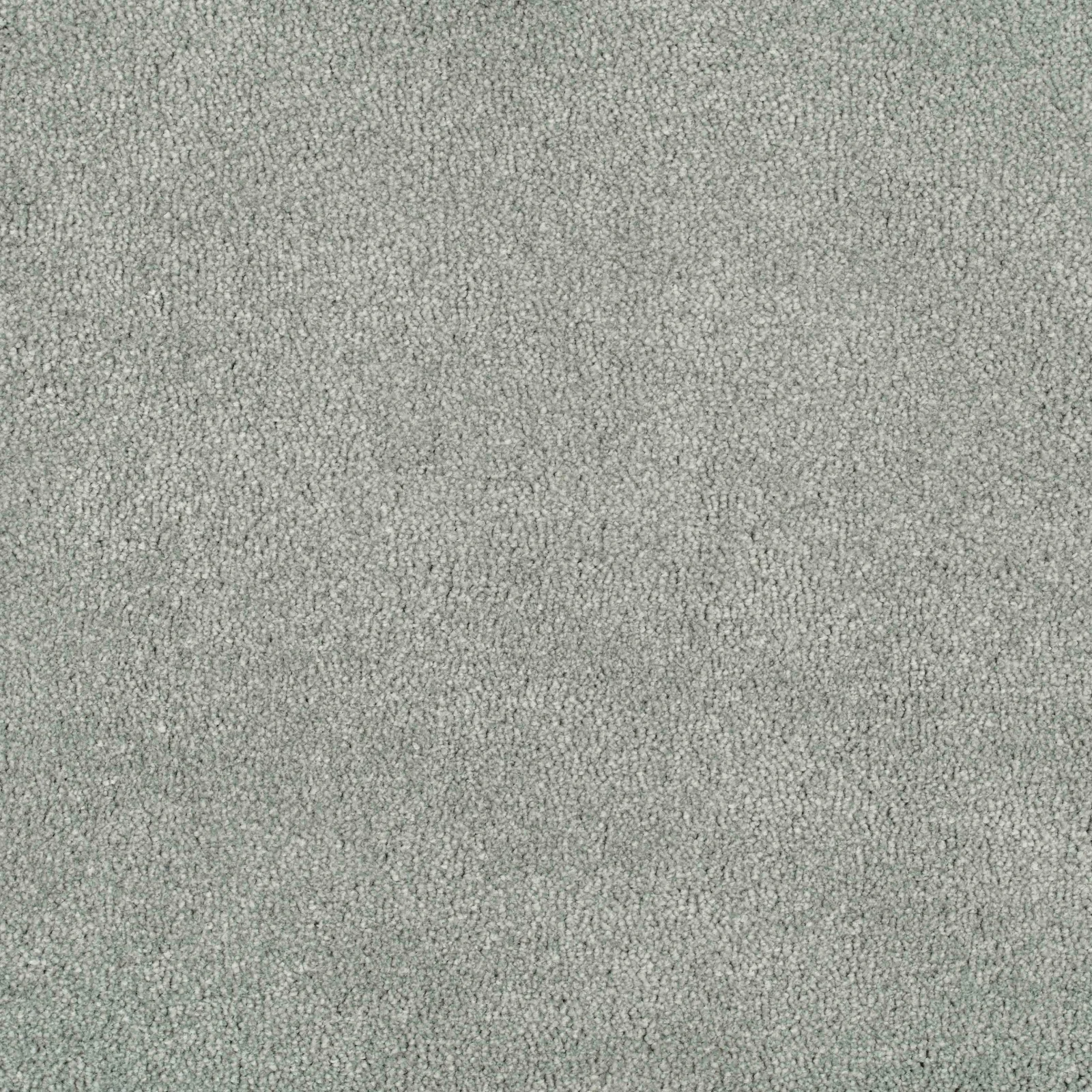 Delight Carpet by Balta - Finishing Touch Collection