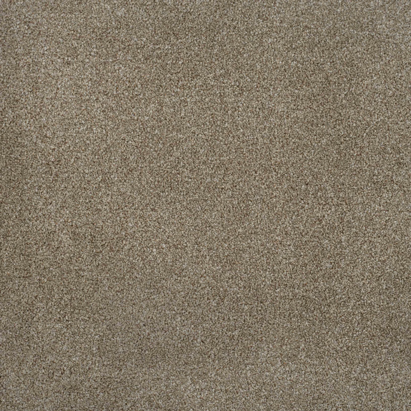 Delight Carpet by Balta - Finishing Touch Collection