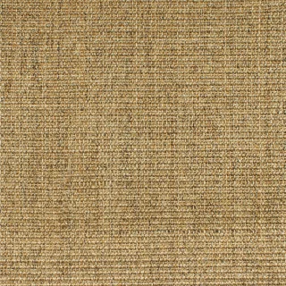 Small Boucle 30/11