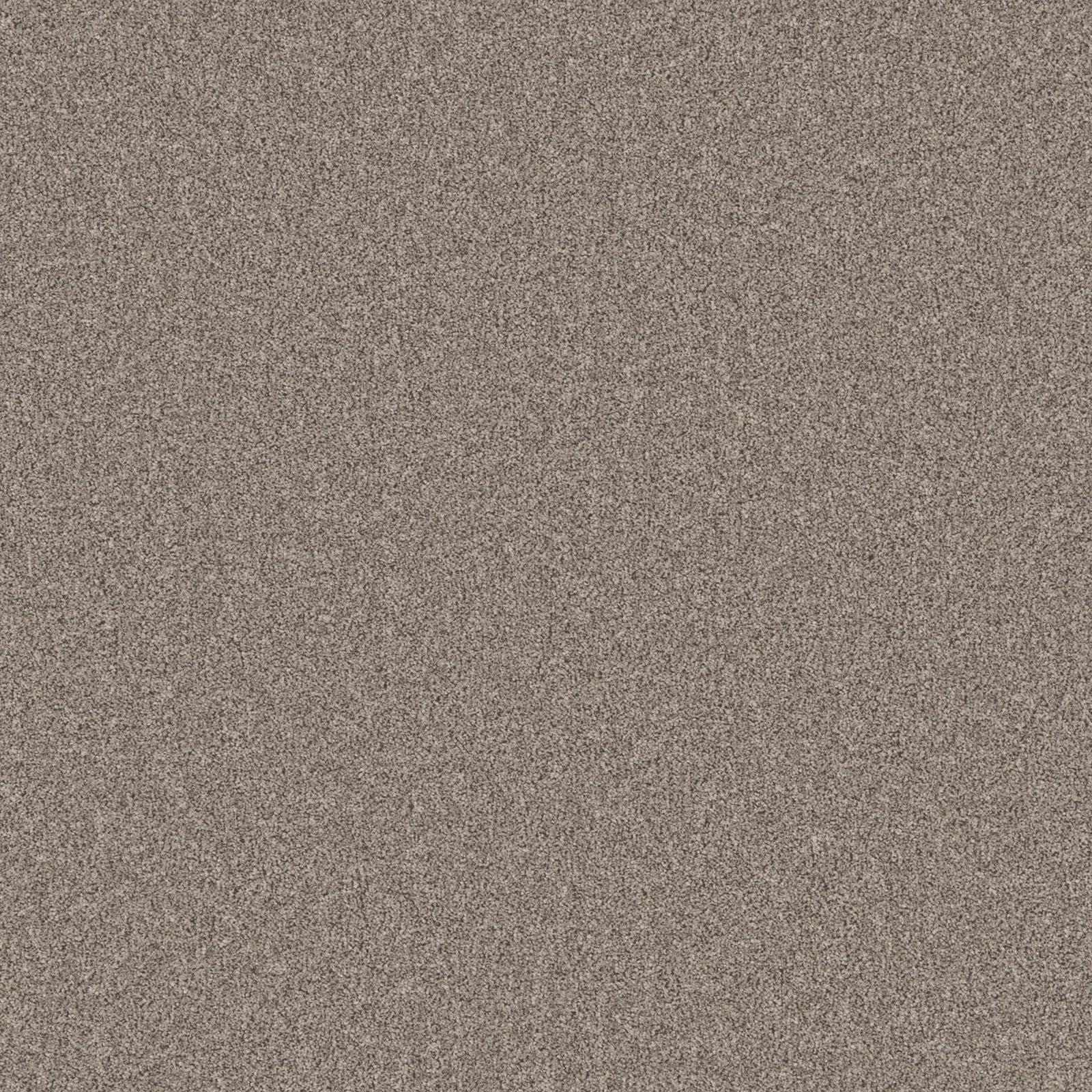 Primo Natural Carpet Range by Cormar Carpets in Wednesfield