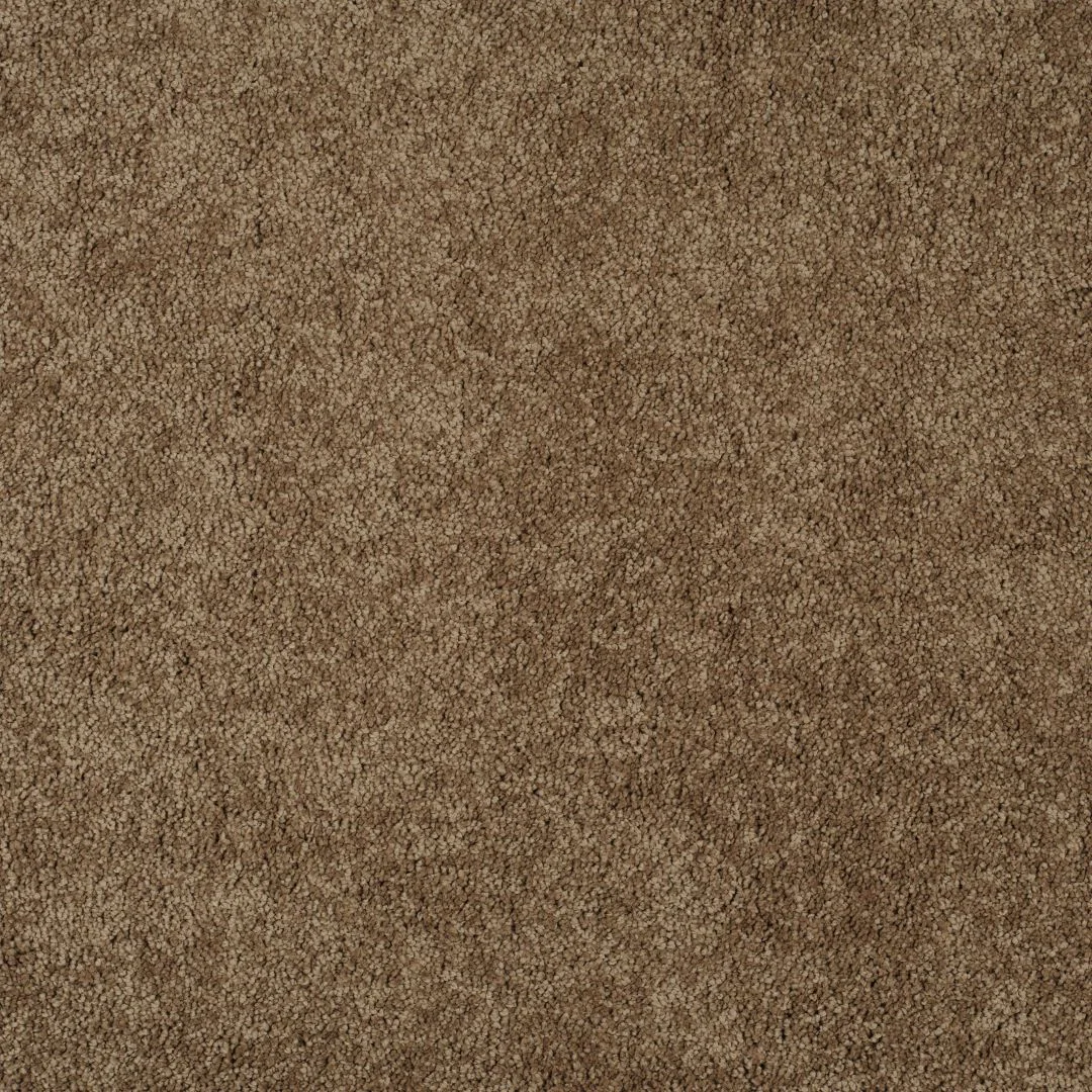 Magical Feeling Carpet by Balta – Quality Flooring