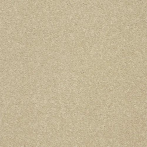 Twist Carpet by Abingdon Flooring - Quality Comfort