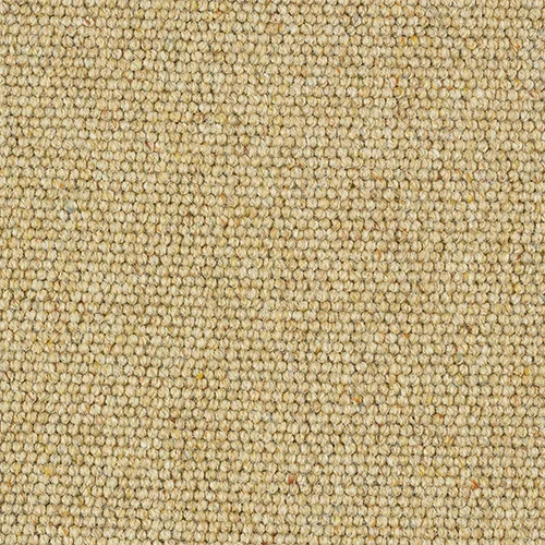 Charter Berber Loop Honey Gold