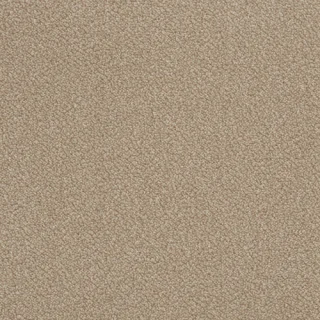 coastal haze