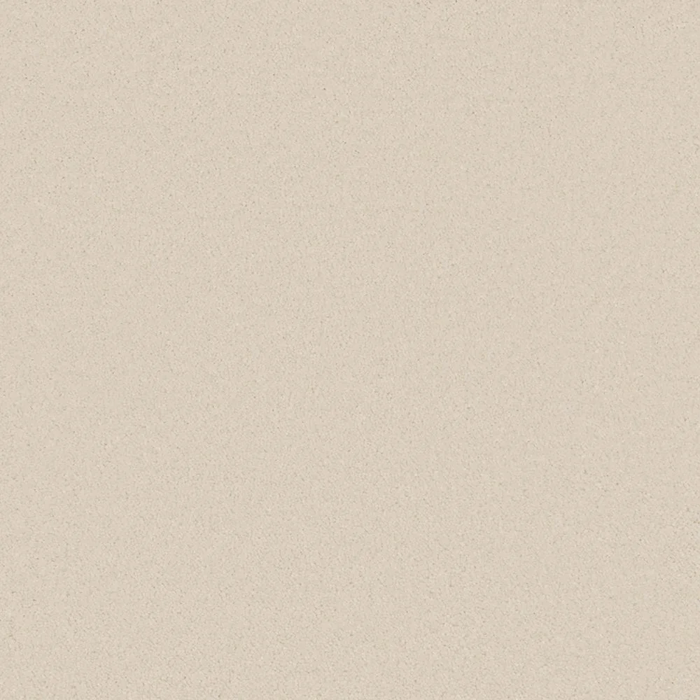 Bliss & Bliss Comfort Carpets by Furlong Flooring