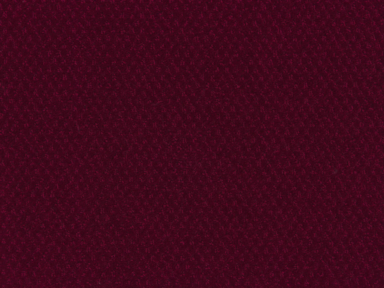 Carve Classic Carpet by Lano - Durable Polyamide