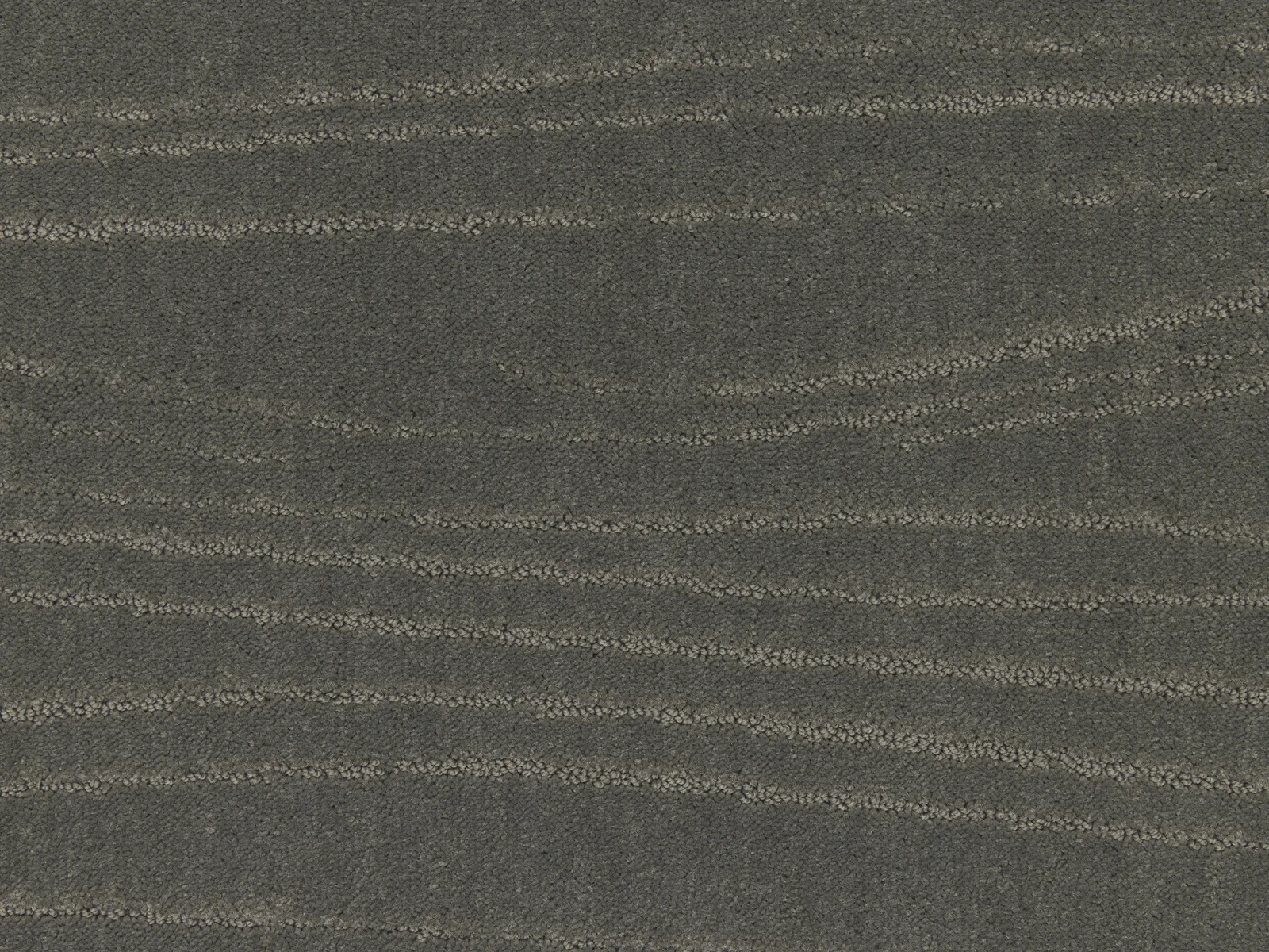 Lano Carve Linea Carpet | Durable and Stylish