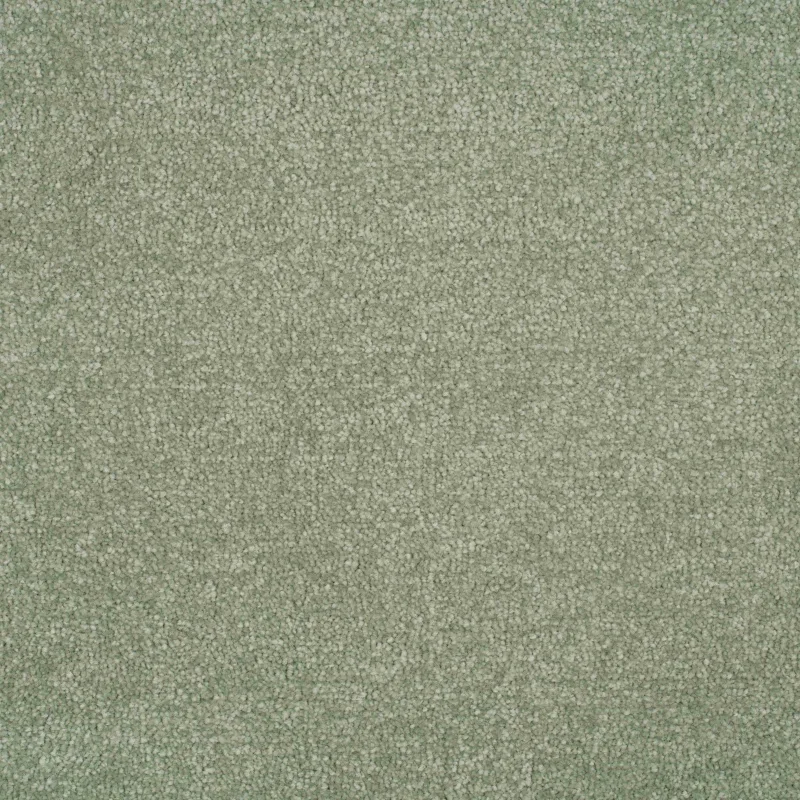 Essence elm