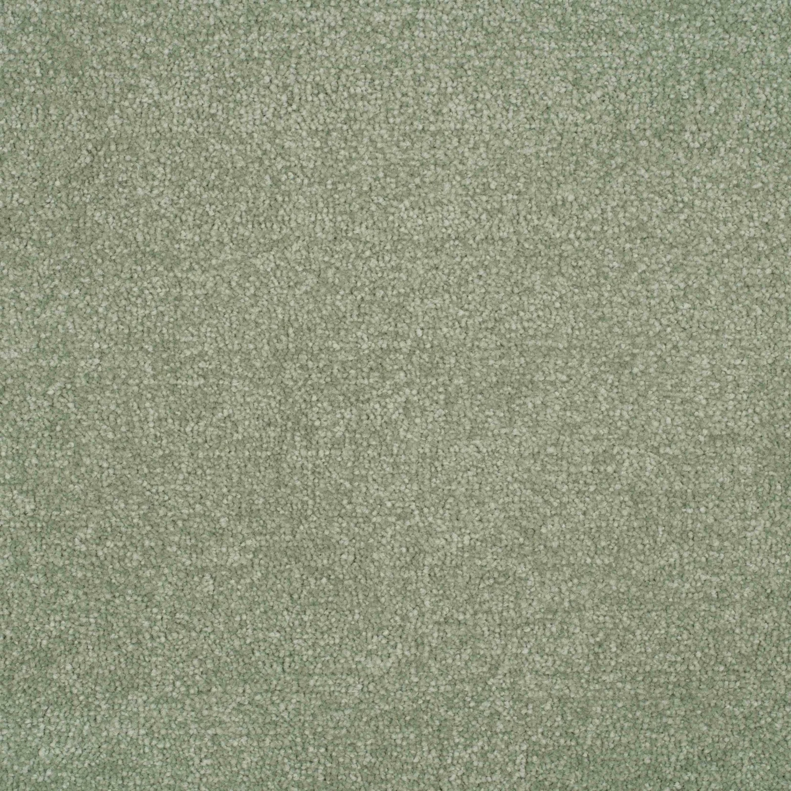 Essence Carpet by Balta | Quality Carpets in Wednesfield