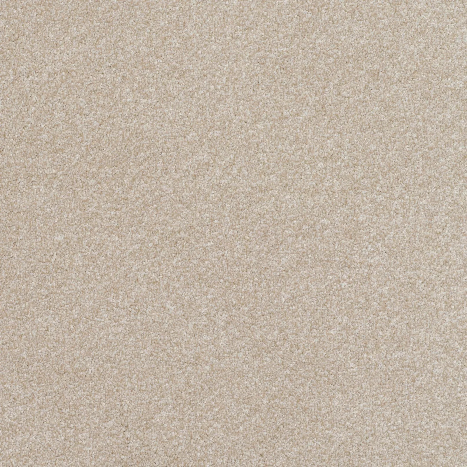 Pinnacle Carpet by Balta | Quality Flooring in Wednesfield