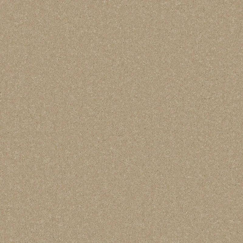Primo Ultra Primo Plus Putty